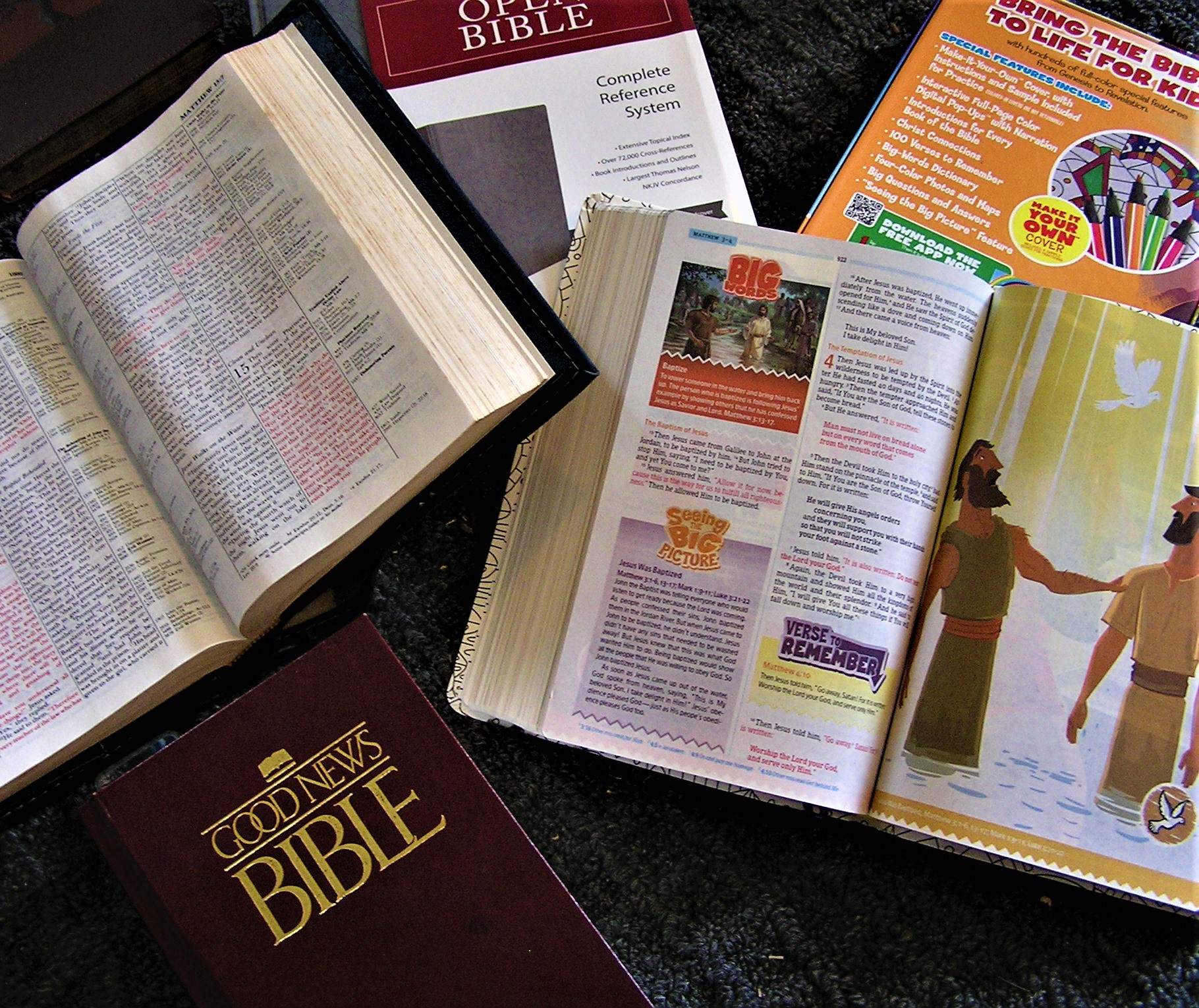 Study/Student Bibles